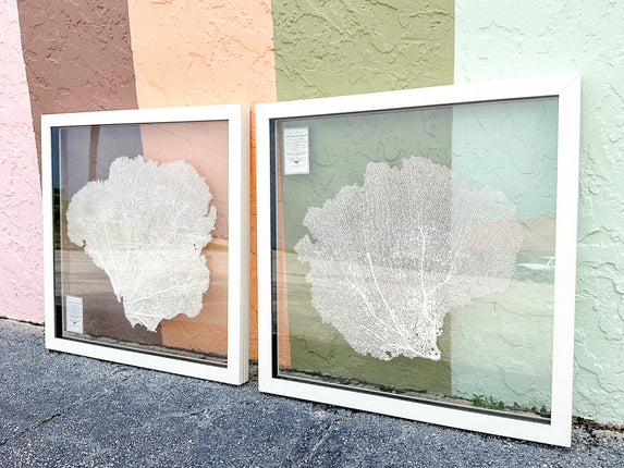 Pair of Coastal Sea Fan Art