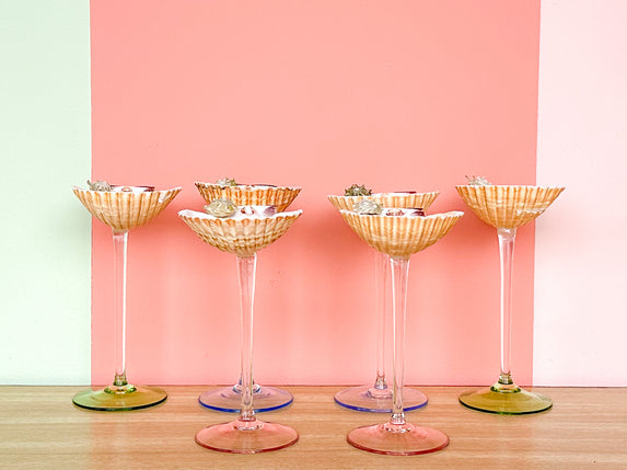 Set of Six Pastel Shell Coupes