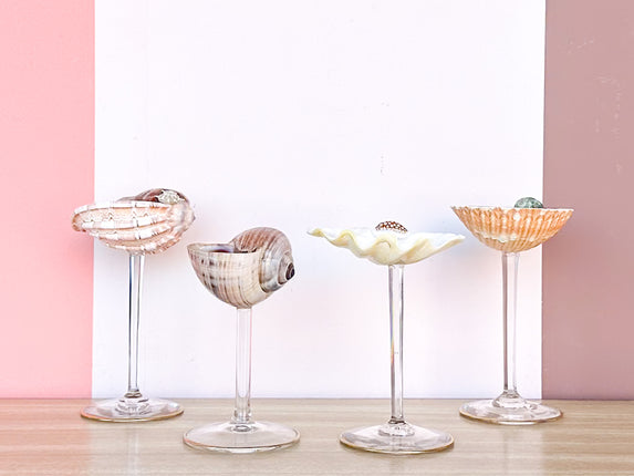 Set of Four Shell Coupes