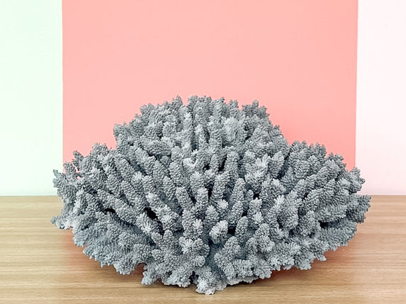 Natural Seafoam Coral