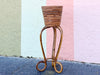 Crespi Style Pencil Reed Pencil Reed Rattan Planter