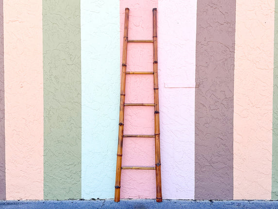 Bamboo Ladder