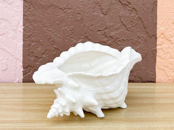 Cream Conch Shell Cachepot