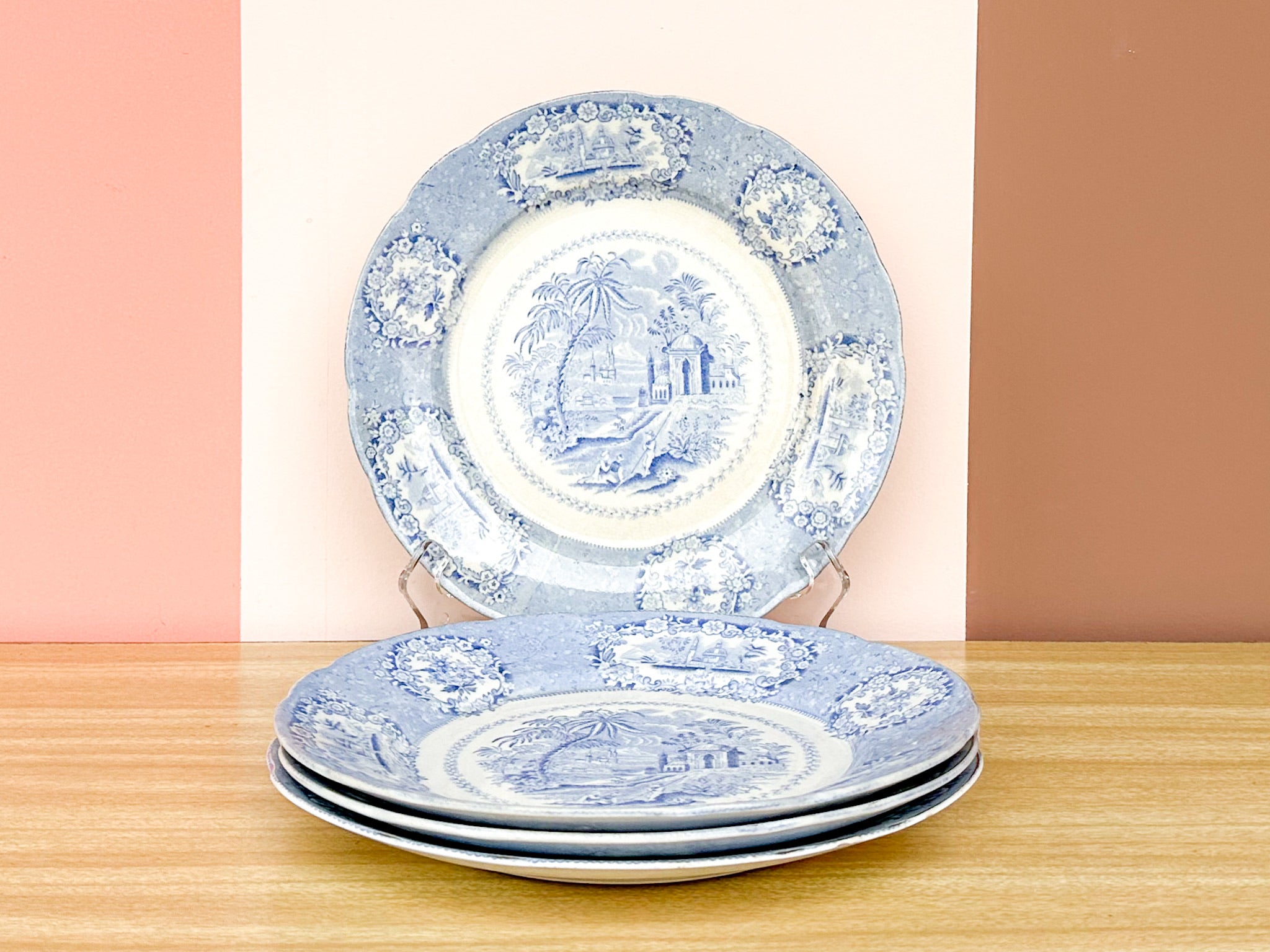 Palm tree dinnerware best sale