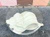 Plaster Conch Shell Coffee Table