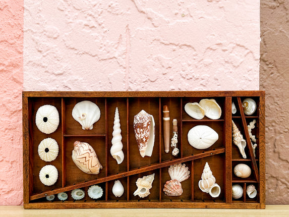 Petite Printers Tray Shell Display