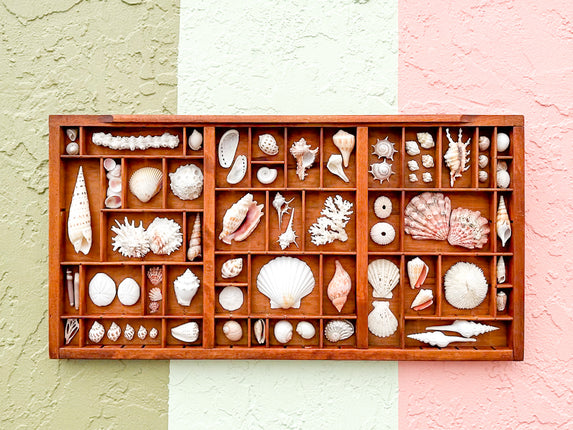 Printers Tray Shell Display