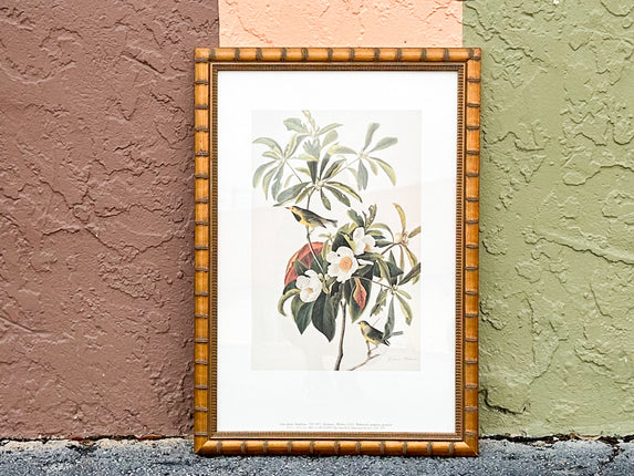 Pretty Audubon Framed Print