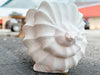 Plaster Conch Shell Coffee Table