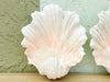 Pair of Clam Shell Wall Sconces