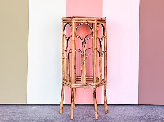 Hexagon Tortoiseshell Rattan Plant Stand