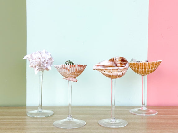 Set of Four Shell Chic Coupes