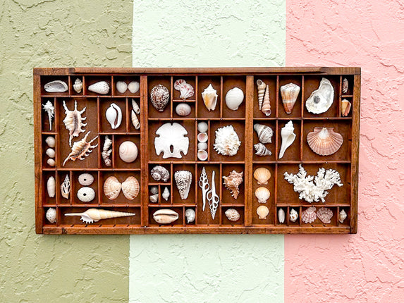 Printers Tray Shell Display