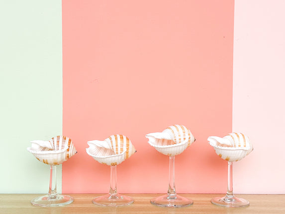 Set of Four Striped Shell Coups