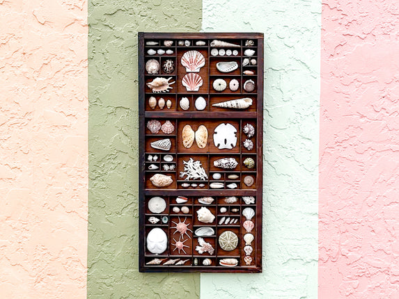 Printers Tray Shell Display