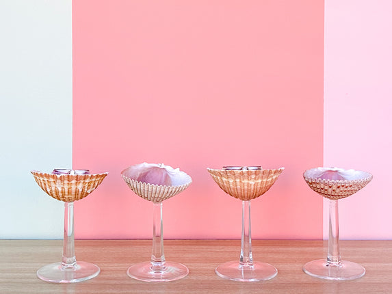 Set of Four Shell Coups