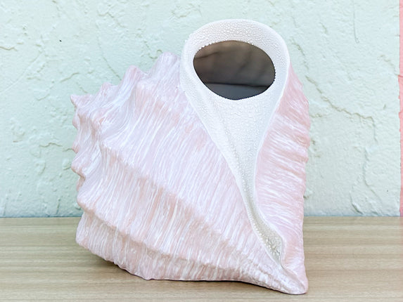 Conch Shell Tissue Holder
