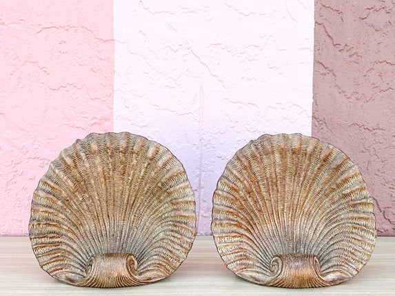 Pair of Large Shell Bookends