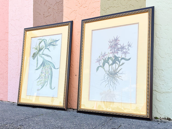Pair of Botanical Prints from The Breakers