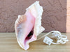 Conch Shell Lamp