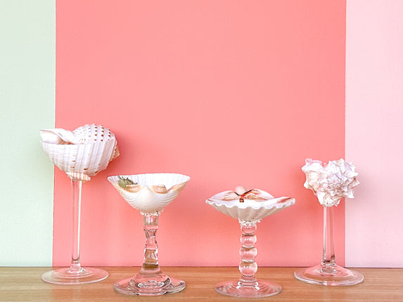 Set of Four Shell Chic Coupes
