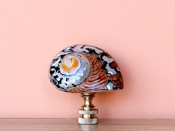 Brown and Gold Jumbo Turbo Shell Finial
