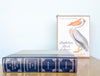 Audubon Birds of America Book
