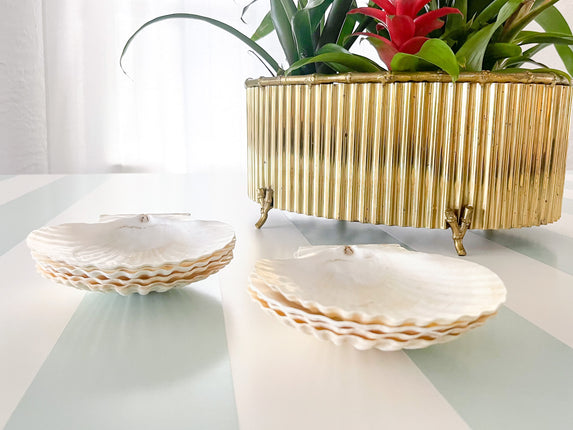 Set of Eight Natural Shell Appetizer Plates