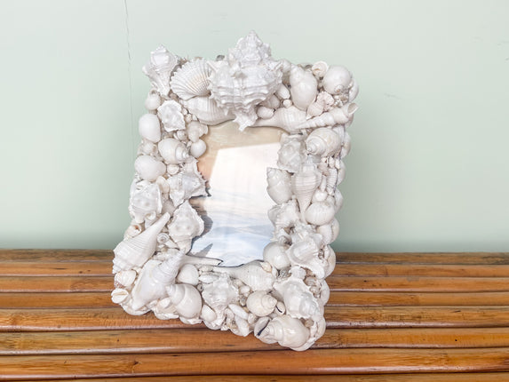 White Nautilus Shell Frame