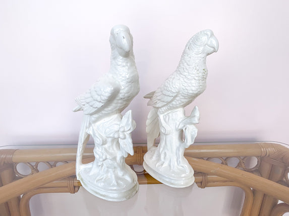 Pair of Sweet Parrots