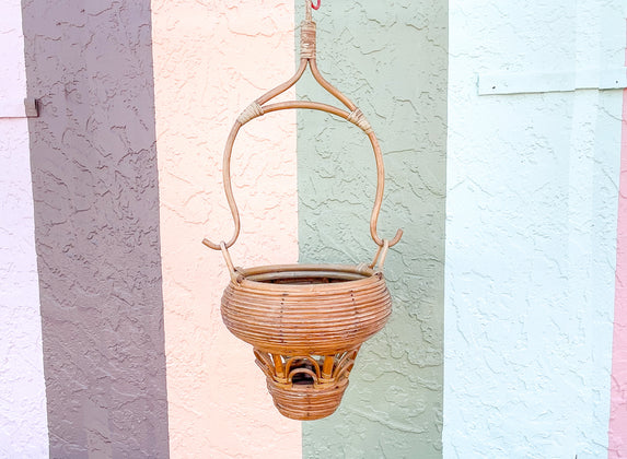 Albini Style Pencil Reed Hanging Planter