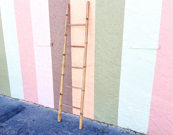 Bamboo Ladder