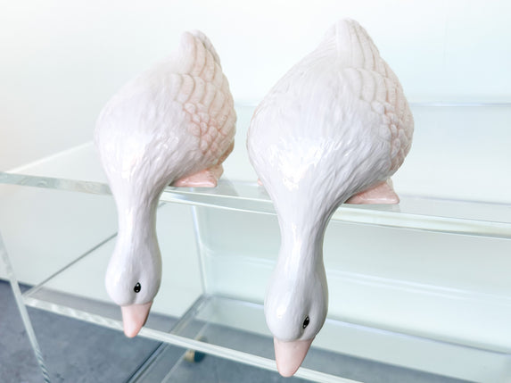 Pair of Adorable Ducks