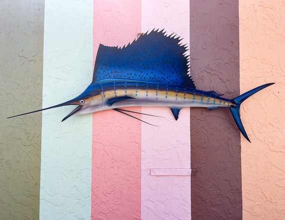 Tag and Release Mounted Sailfish