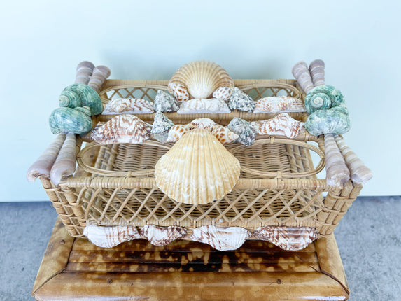 Shellegance Tissue Box