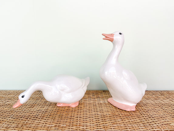 Pair of Adorable Ducks