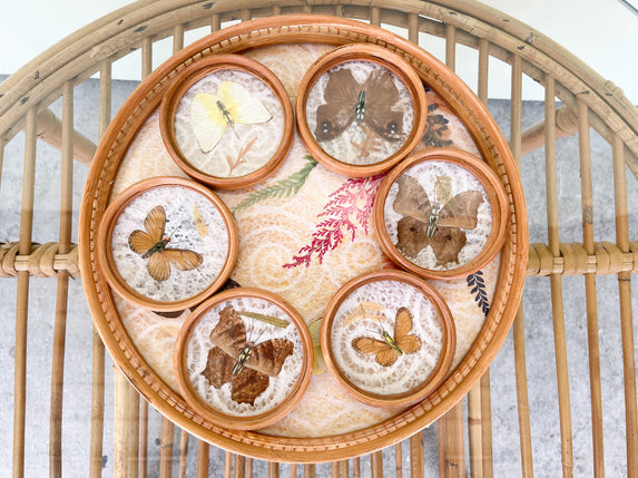 Rattan Butterfly Coaster Set