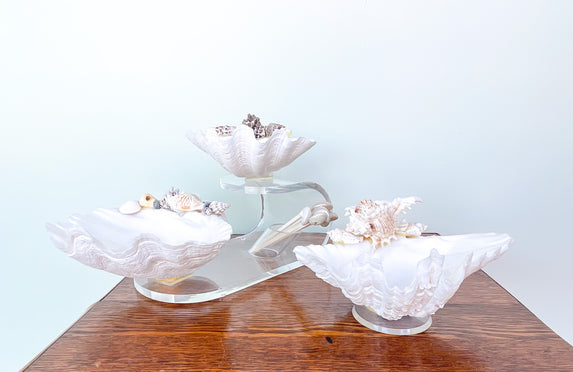Seashell and Lucite Serving Set