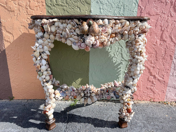 Amazing Shellegance Demilune