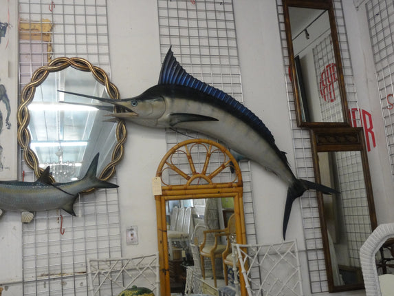 7 Ft Taxidermy Marlin Mount