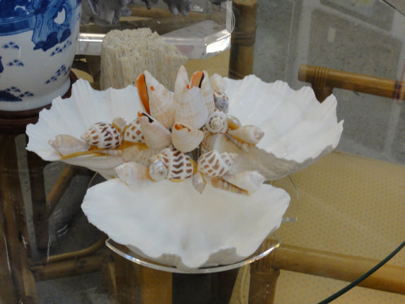 Seashell & Lucite Lazy Susan Serving Set