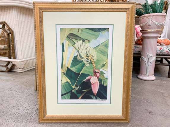 Banana Days by Jennifer Ardolino