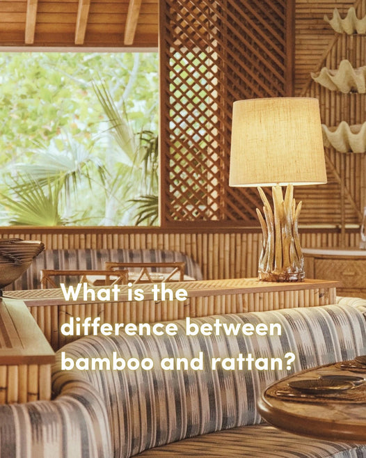 Bamboo v. Rattan