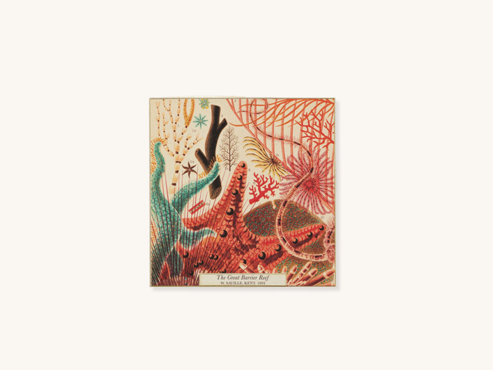 Great Barrier Reef Safety Matches