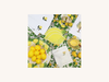 Set of Four Lemon Cocktail Napkins