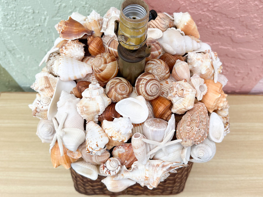 Shell Chic Basket Lamp