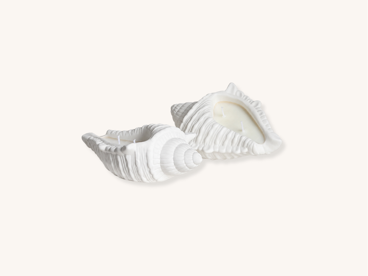 Conch Shell Soy Wax Candle