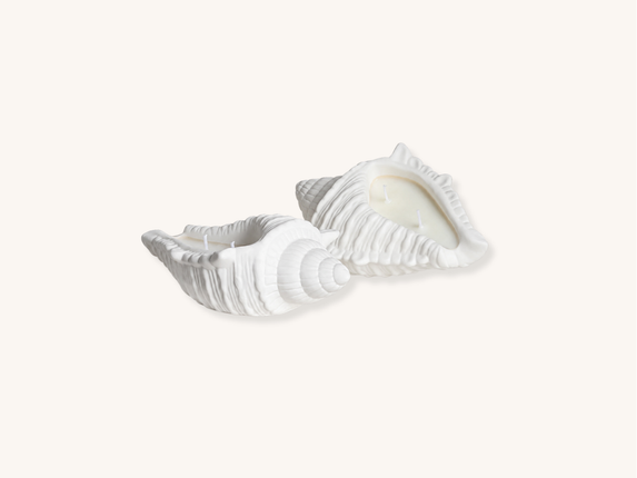 Conch Shell Soy Wax Candle