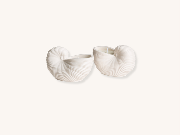 Seashell Soy Wax Candle