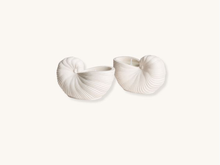 Seashell Soy Wax Candle